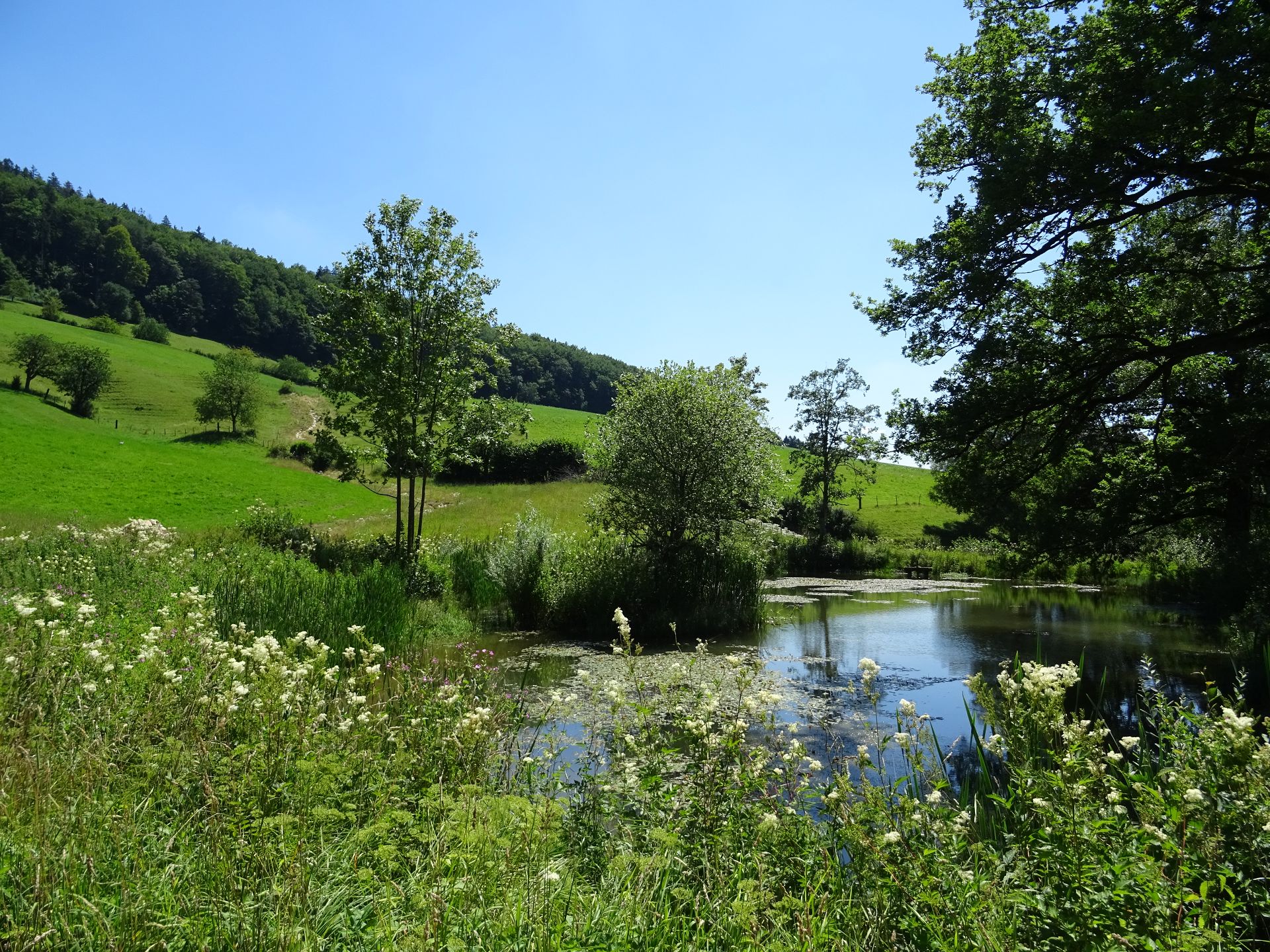 Kloster Schönthal, Langenbruck